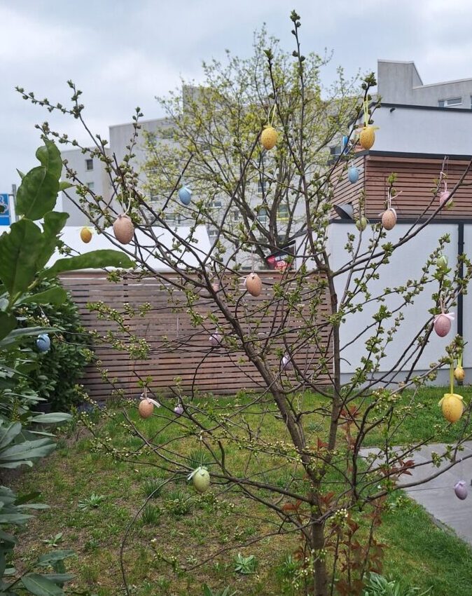 Osterschmuck ind der Sprachenschule im Märkischen Viertel