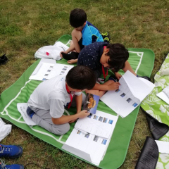 IMG_20190703_152205-768×1024